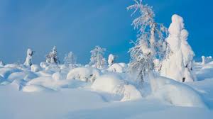 Snowhiter: How to Enjoy Winter While Saving Your Planet