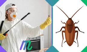 Anticimex 3D & Wisecon: Sanidad Estrategia De Consolidación