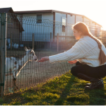 Why Animal Trapping Is Essential for Protecting Residential Properties