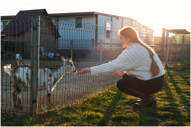 Why Animal Trapping Is Essential for Protecting Residential Properties