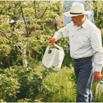 Wildlife and Pest Prevention Tips Every Lake County Homeowner Should Know