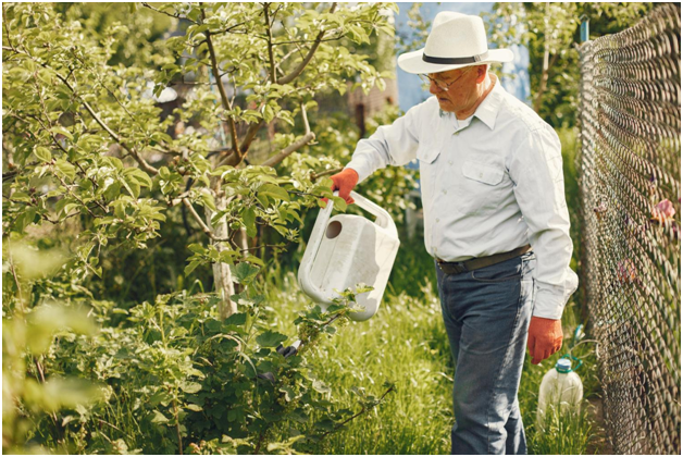Wildlife and Pest Prevention Tips Every Lake County Homeowner Should Know